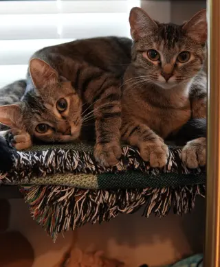 Louise (and Thelma)
