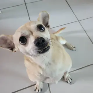 Leroy