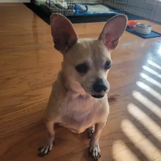 Leroy