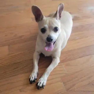 Leroy