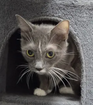 Ursula