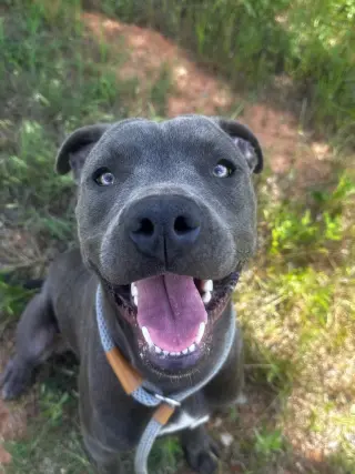 Jinx