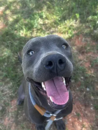 Jinx
