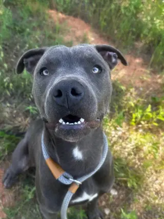Jinx
