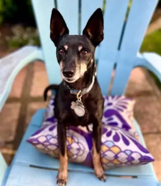 Lola (CA)