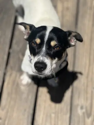 Marco