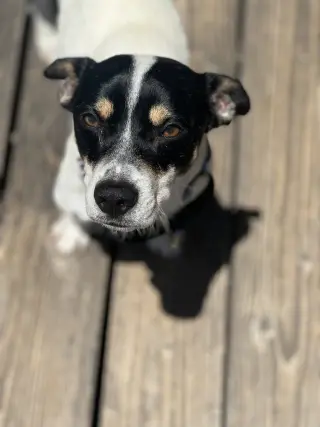 Marco