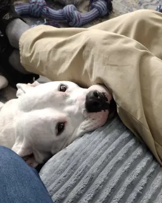 Cosmo