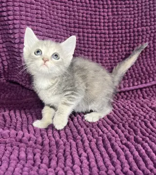 Winnie