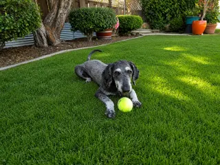 Charlie