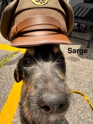 SARGE