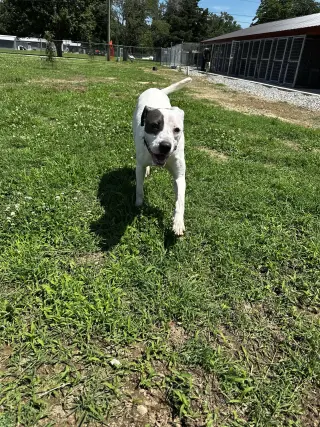 Rye