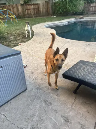Zeus