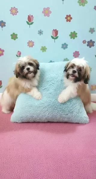 Jemma & Jacob