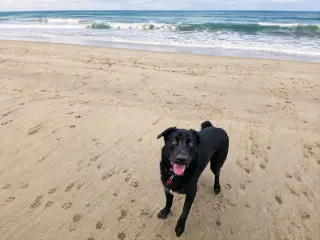 Tyson