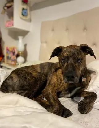 Charlie