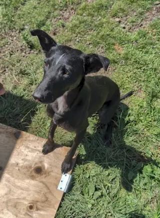 Handsome Jack