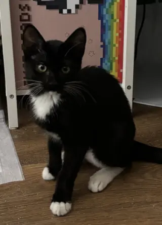 Luna
