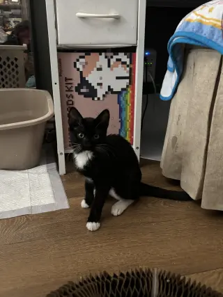 Luna