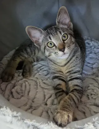 Milton