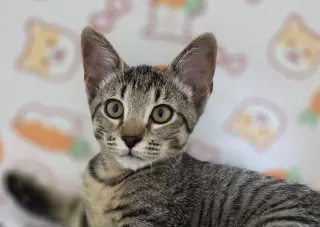Milton