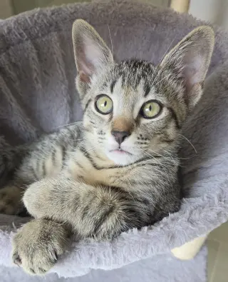 Milton