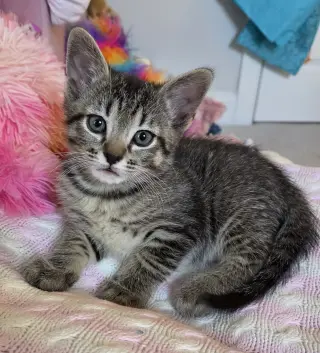 Milton