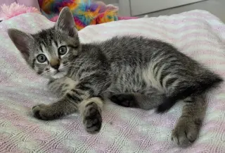Milton