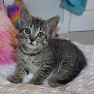 Milton