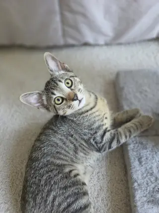 Milton