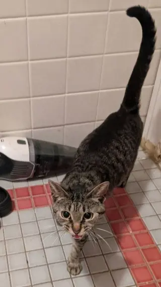 Penelope