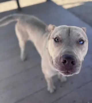 Marty