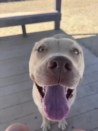Marty