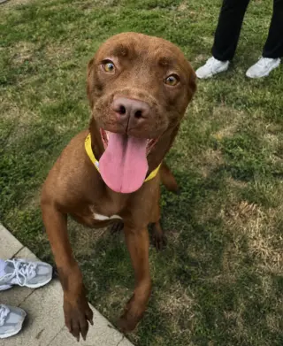 Ruby