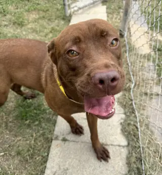 Ruby