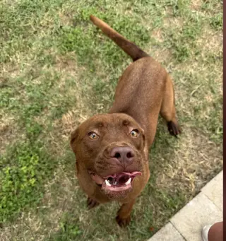 Ruby