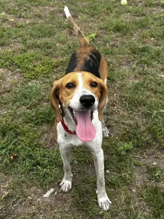 Lilah