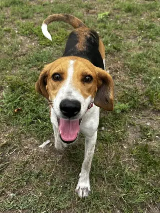 Lilah