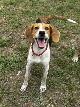 Lilah