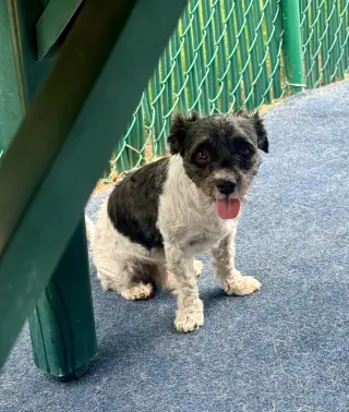 Jack