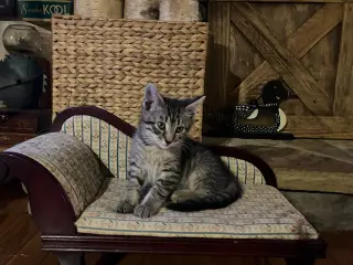 Gabby
