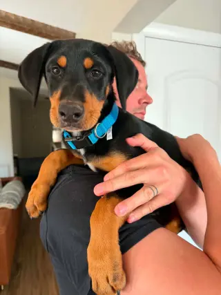 Bo