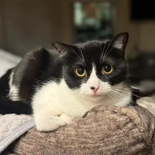Whisper (this is an oddball!)