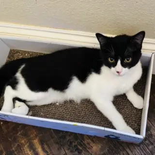 Whisper (this is an oddball!)
