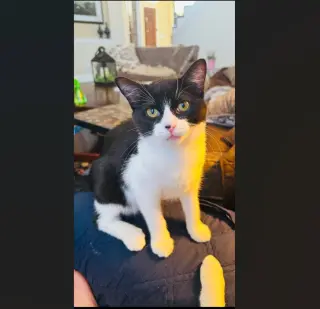 Whisper (this is an oddball!)