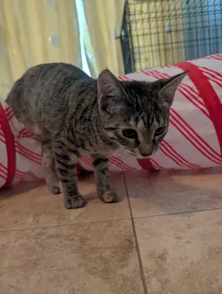 Tina