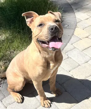 August Aka Auggie
