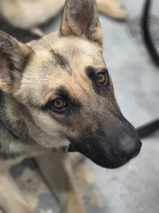 Baby Girl
