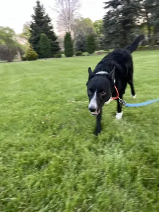 Jesse (a courtesy listing in Northern IL)