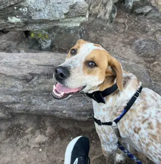 Jax
